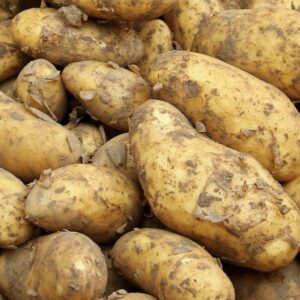 Virüs alarmı: Tonlarca patates Mersin Limanı’ndan döndü